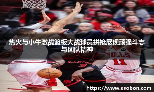热火与小牛激战篮板大战球员拼抢展现顽强斗志与团队精神